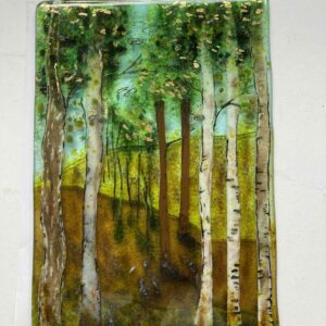 Landscape in glass. Lambs Range FNQ